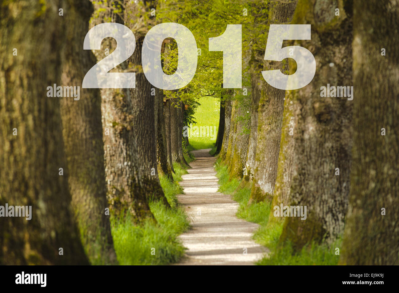 Modo e intenzione per il nuovo anno 2015 Foto Stock