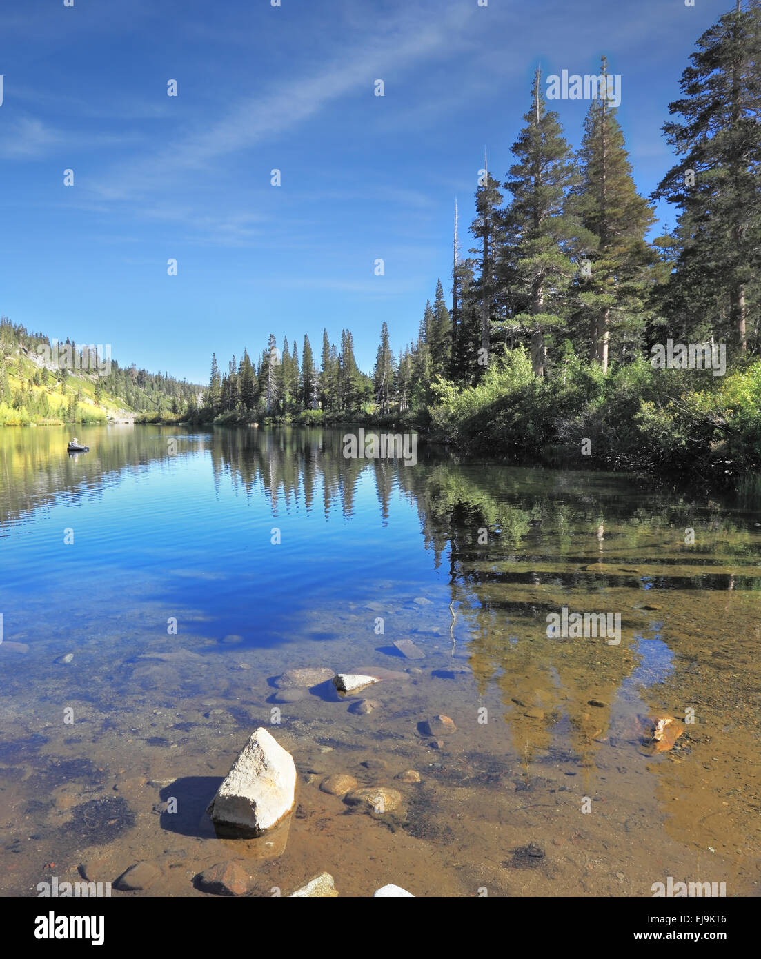 Nell'acqua riflette le foreste di conifere Foto Stock