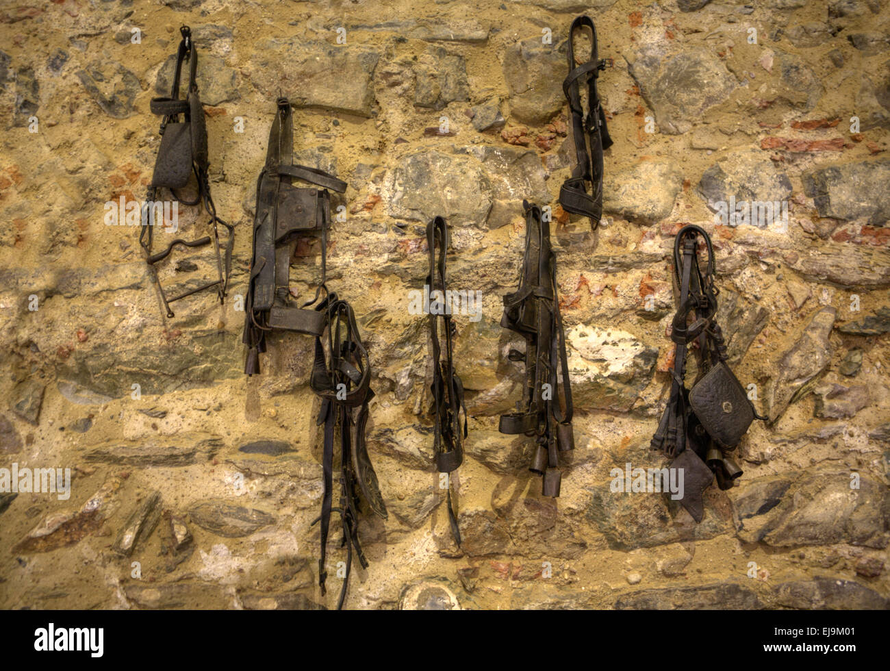 Vintage cavallo attrezzatura sul muro di pietra in un vecchio fienile tack camera su una fattoria rurale Foto Stock