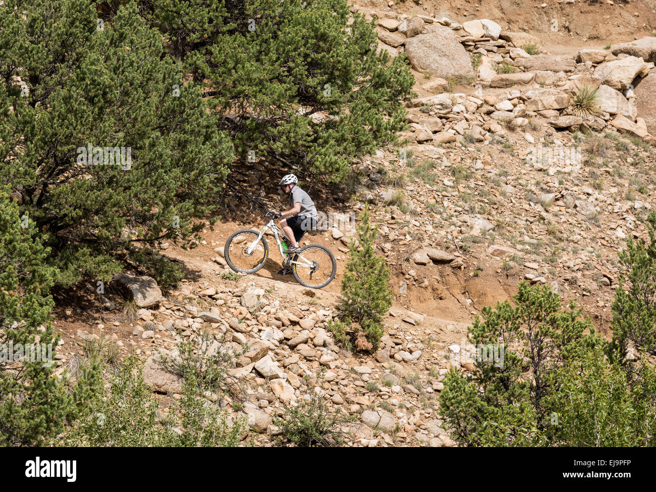 Mountain Biker sul sentiero sopra Buena Vista Foto Stock