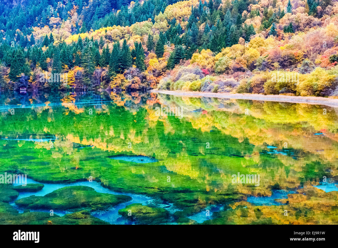 Bellezza autunno in jiuzhaigou Foto Stock