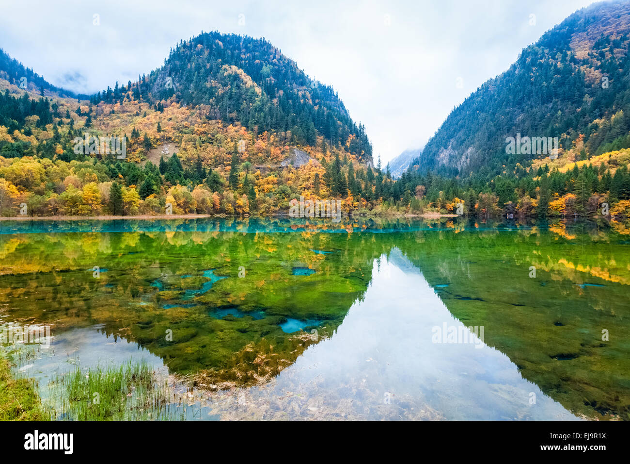 Fiabesco paesaggio autunnale Foto Stock