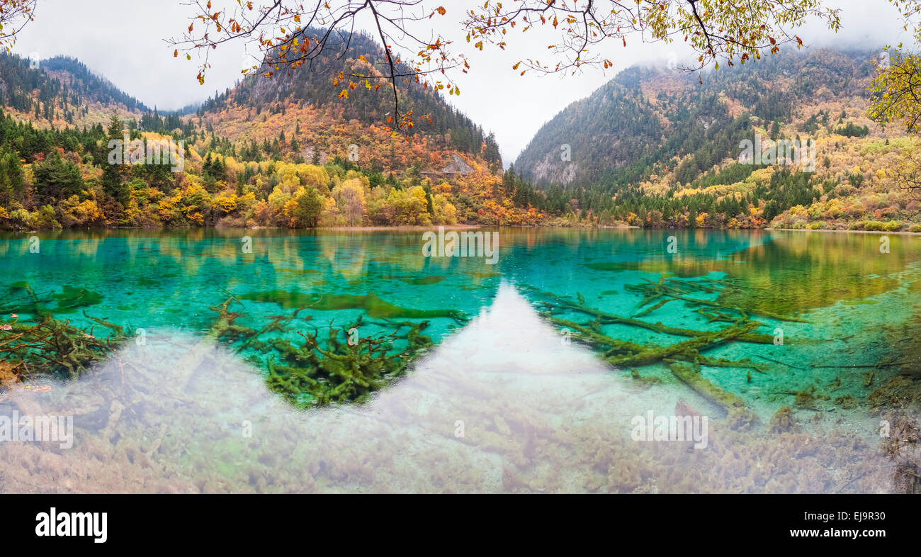 Laghetto colorato in jiuzhaigou Foto Stock