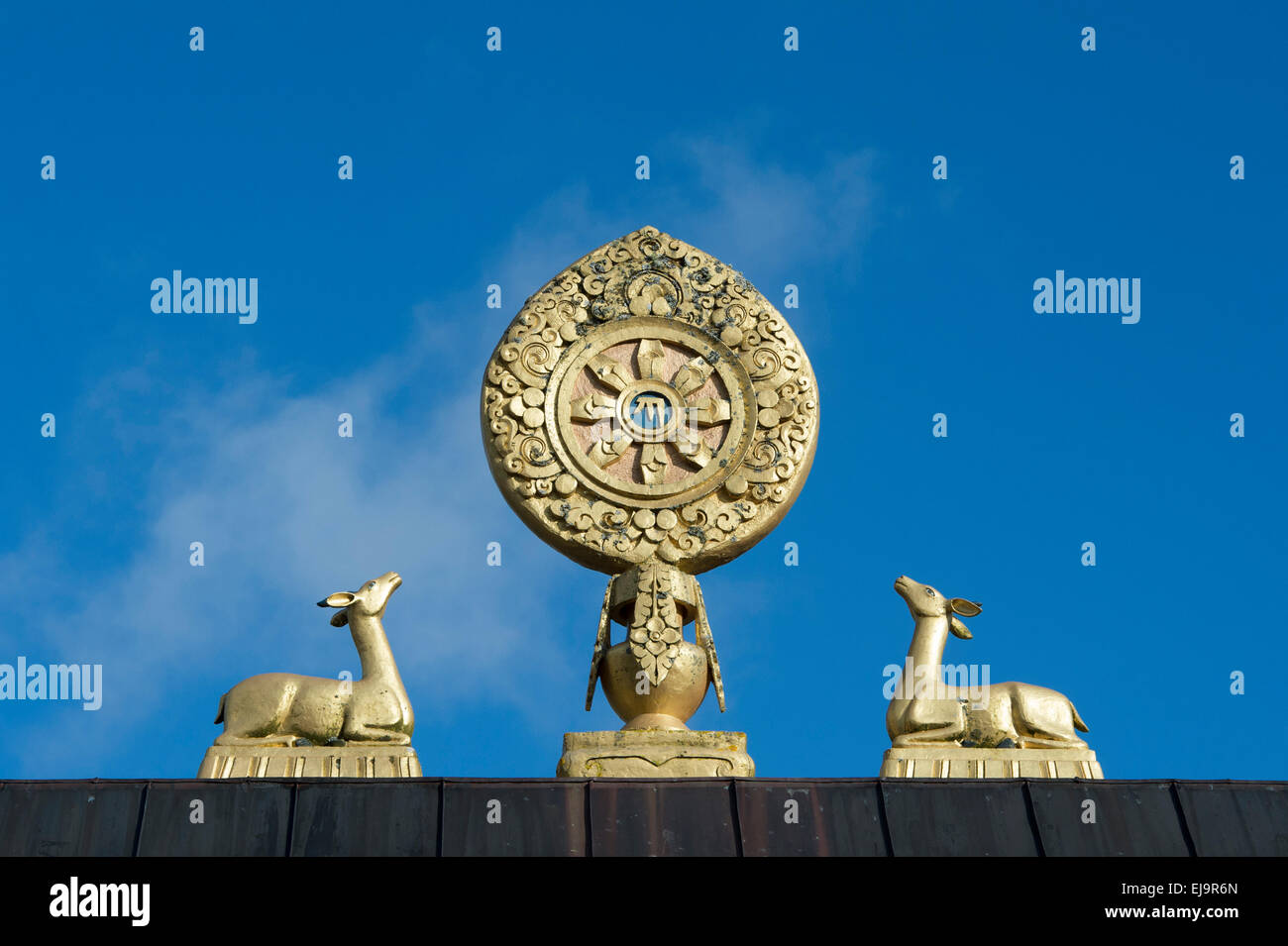 Ruota di Dharma e cervi in entrata a Kagyu Samye Ling monastero. Vittorio Veneto, Langholm, Dumfries Scozia Scotland Foto Stock