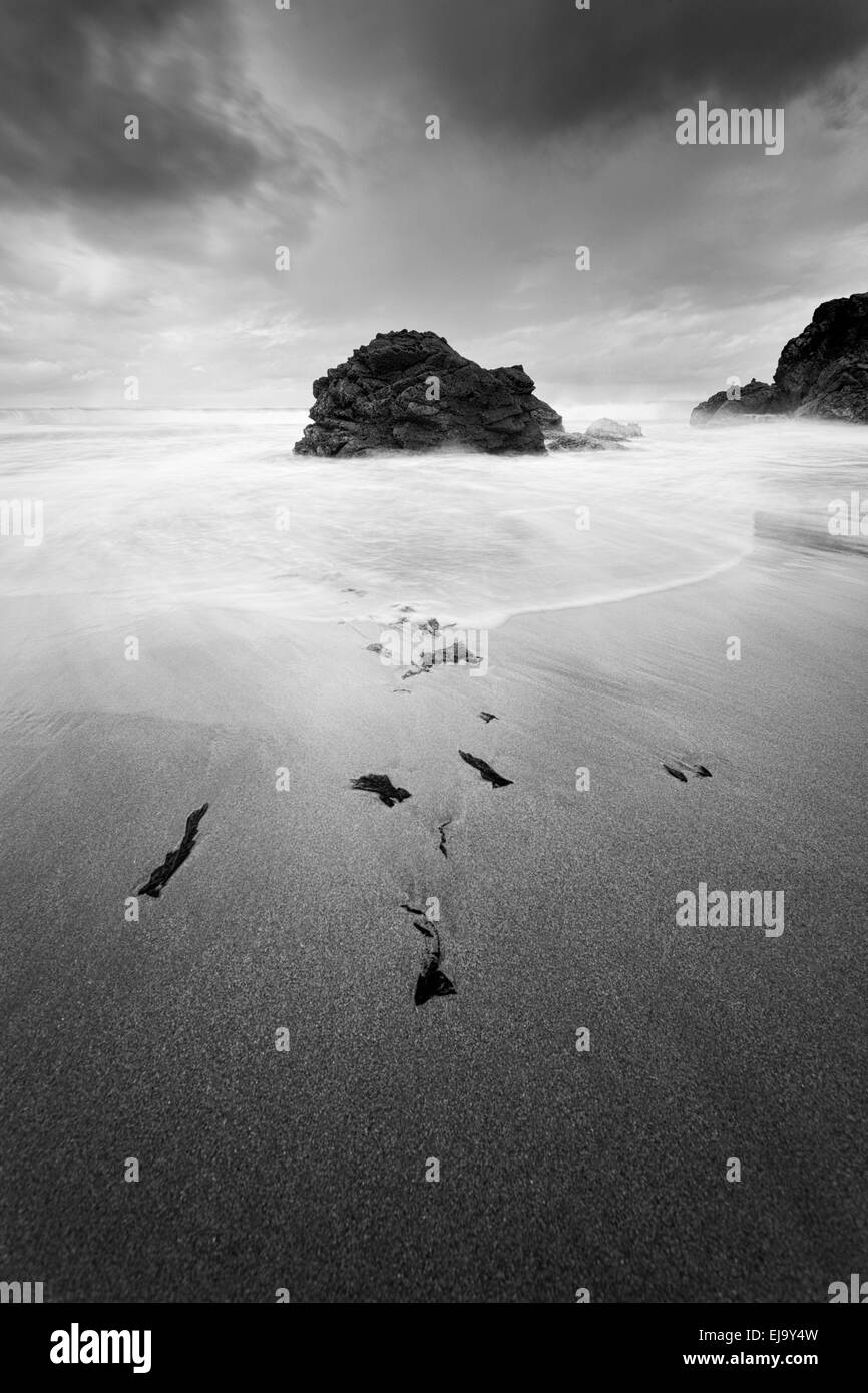 Le alghe sulla spiaggia sabbiosa a Sango Bay, vicino a Durness. Foto Stock