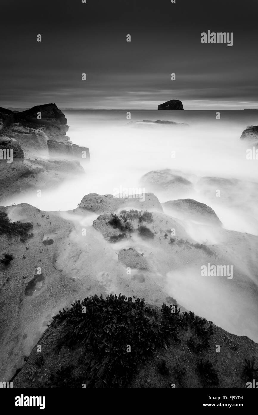 Marea a Seacliff spiaggia vicino a North Berwick, Scozia. Foto Stock