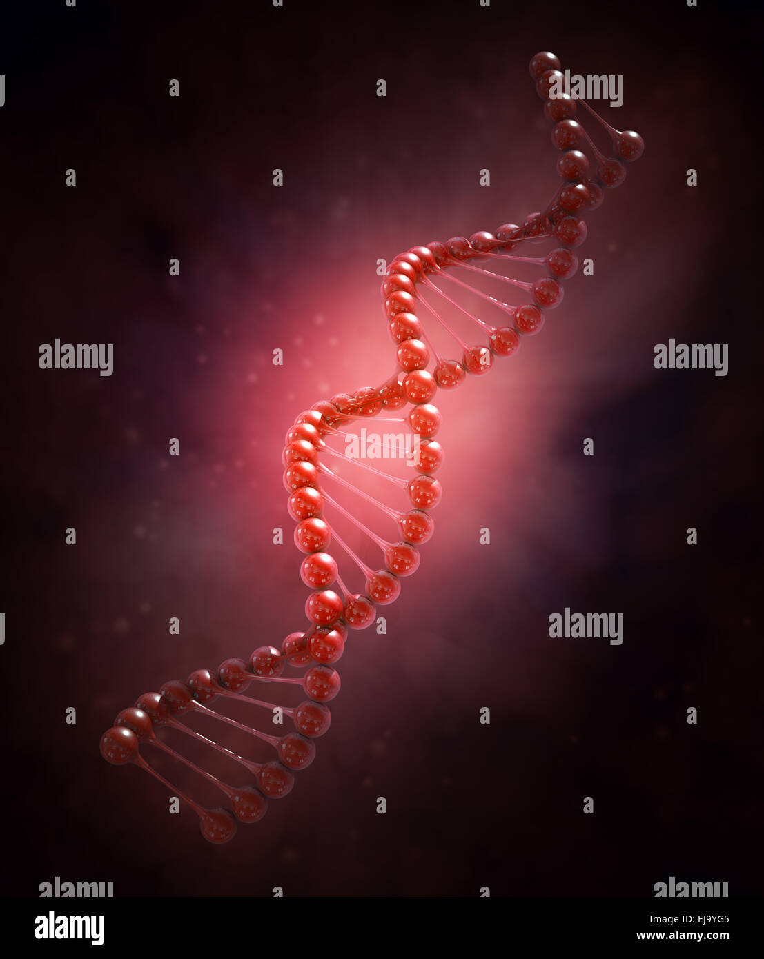 Il filamento di DNA modello - illustrazione di genetica Foto Stock