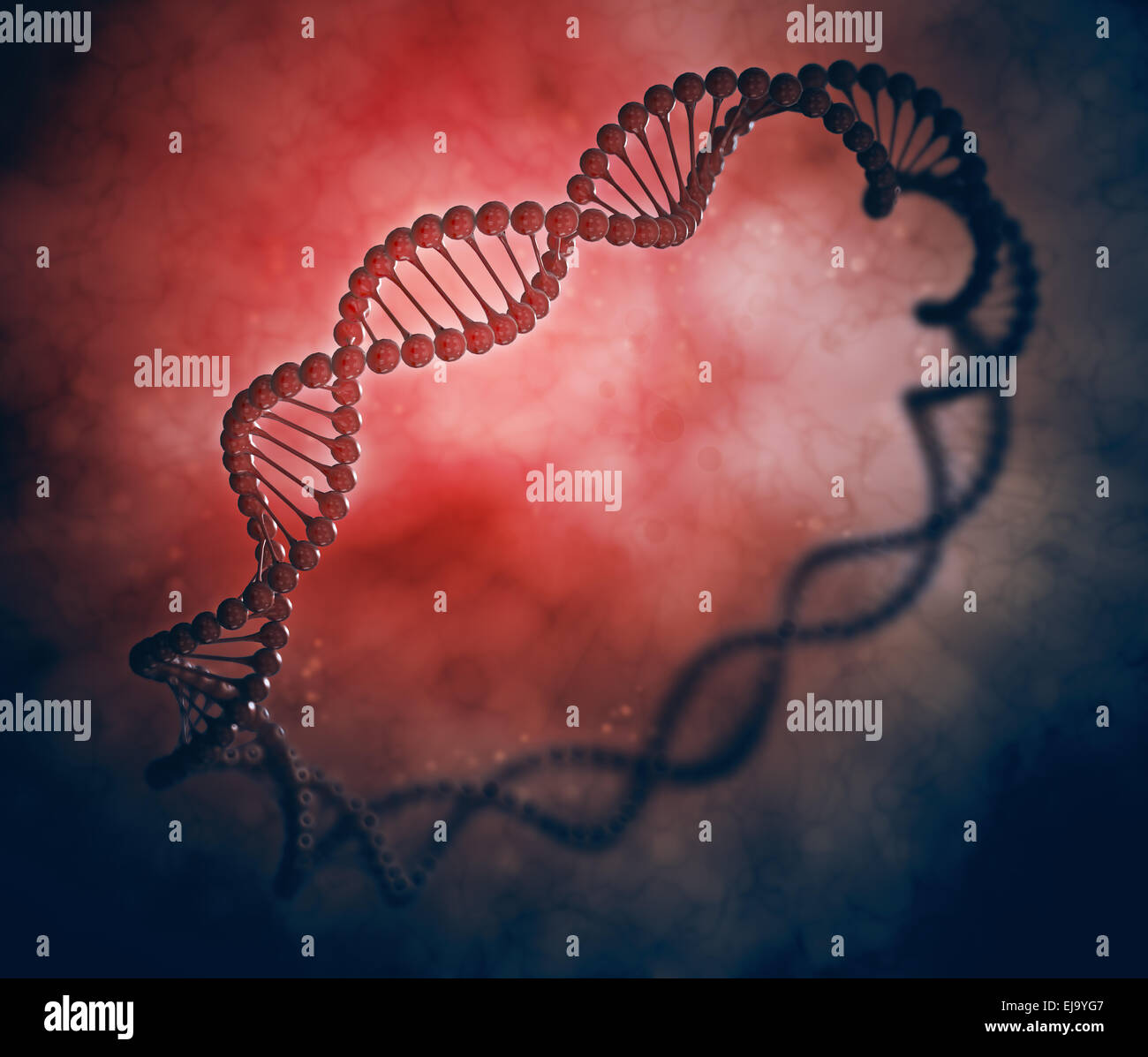 Anello di DNA stilizzata illustrazione genetica Foto Stock