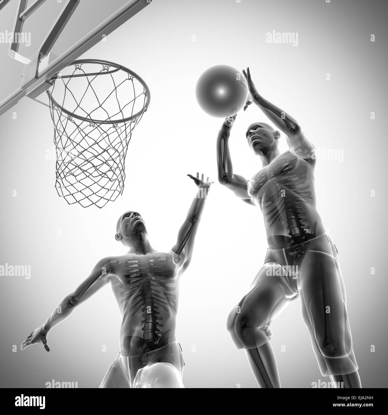 Gioco di basket player immagine radiografica Foto Stock