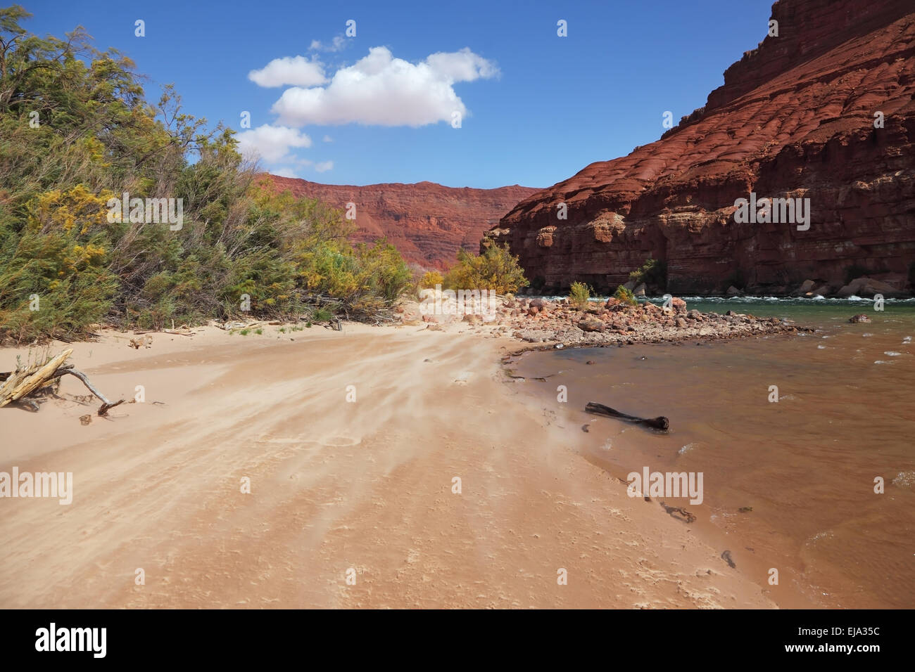 Selvaggio Fiume Colorado Foto Stock
