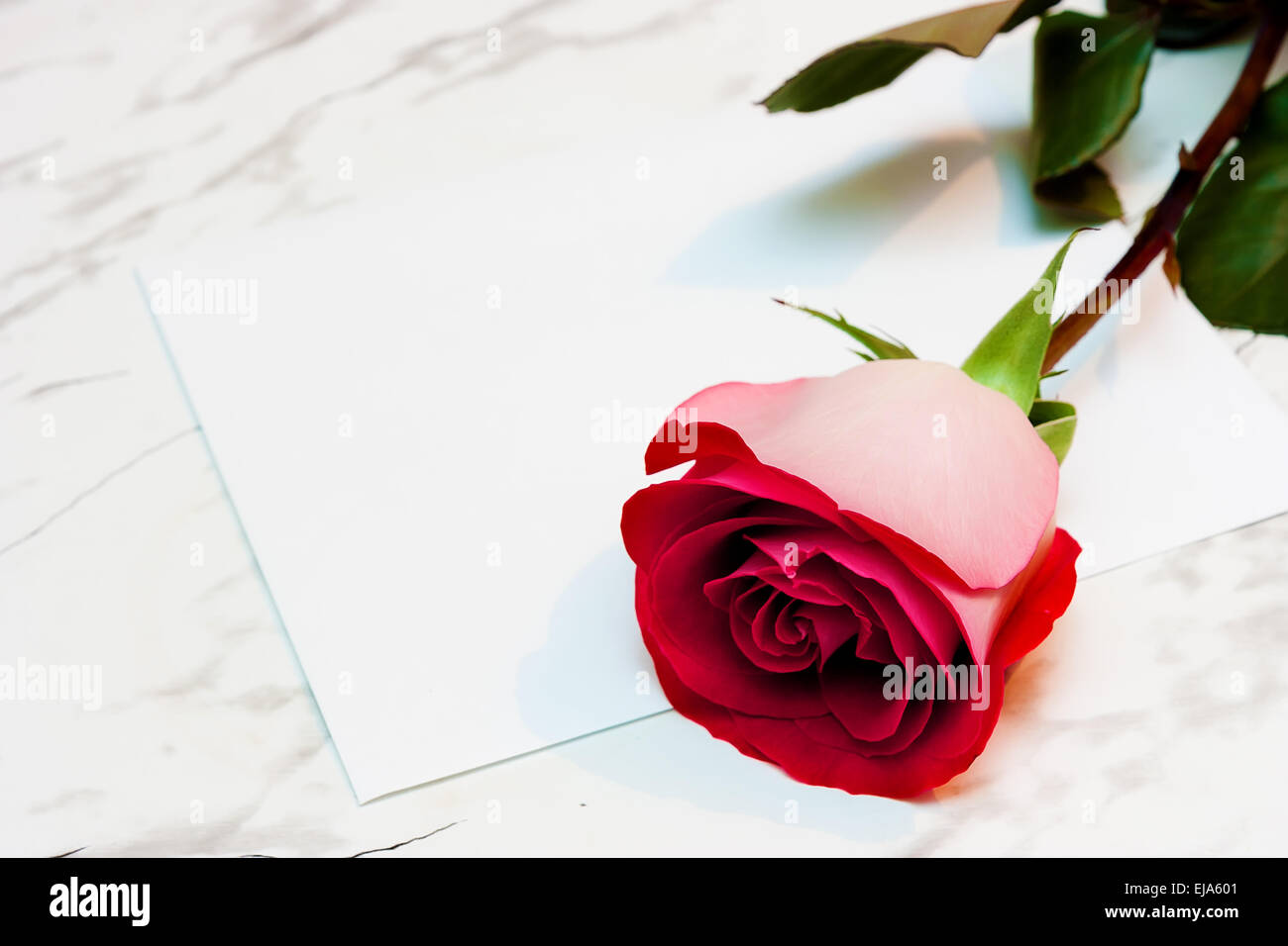 Una rosa rossa e una lettera sulla tavola di marmo Foto stock - Alamy