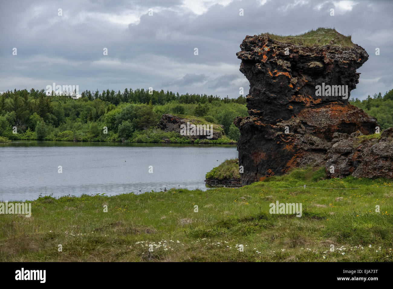 Lago Myvatn, Nord Islanda Foto Stock