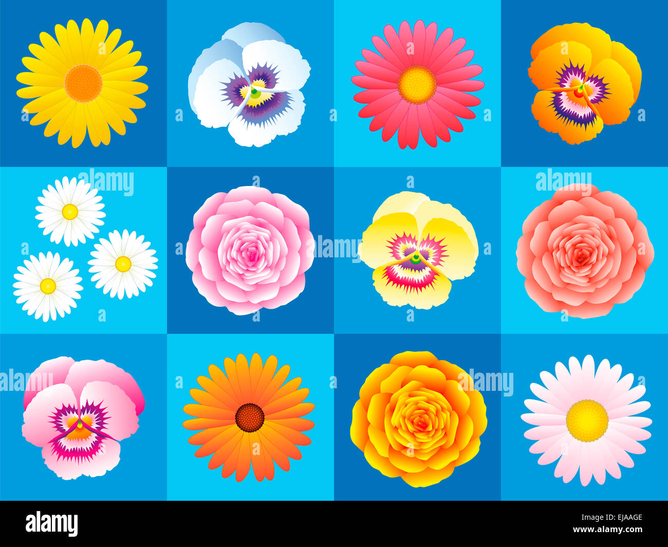 Margherite, pansies, aestri, rosa, rose, una variazione di fiori colorati su sfondo blu per la carta da parati senza giunture pattern. Foto Stock