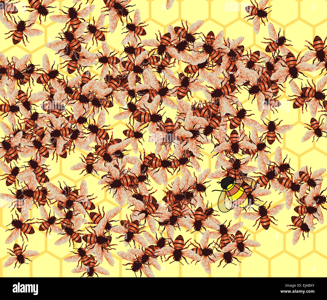 Queen Bee sovrintendere api di lavoratore di riempimento del pettine con il miele. Foto Stock