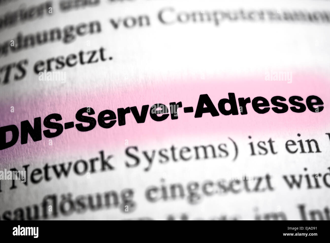 Indirizzo server DNS Foto Stock