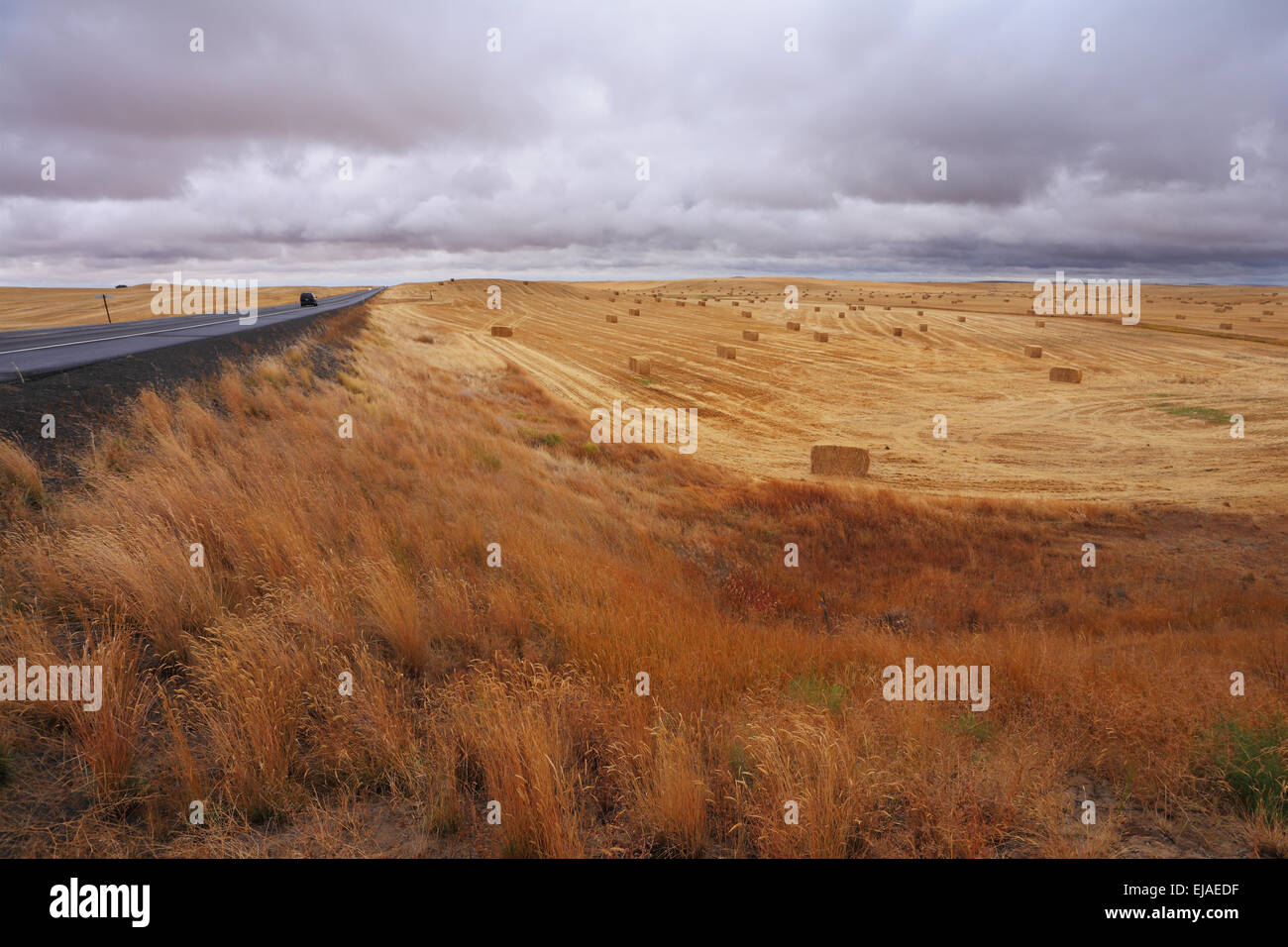Grande autostrada tra campi di autunno Foto Stock