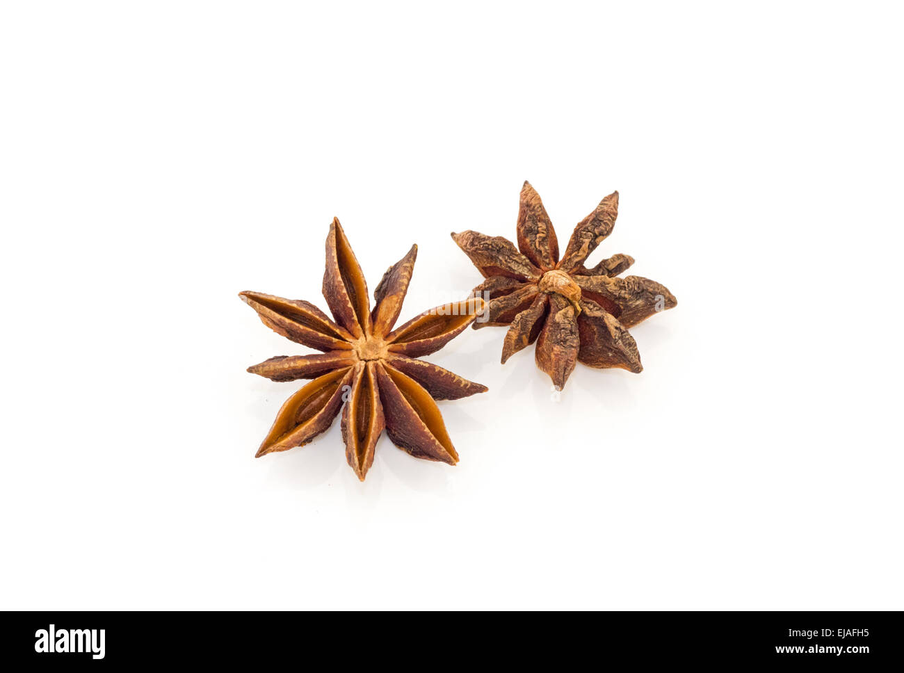 Anice. Foto Stock