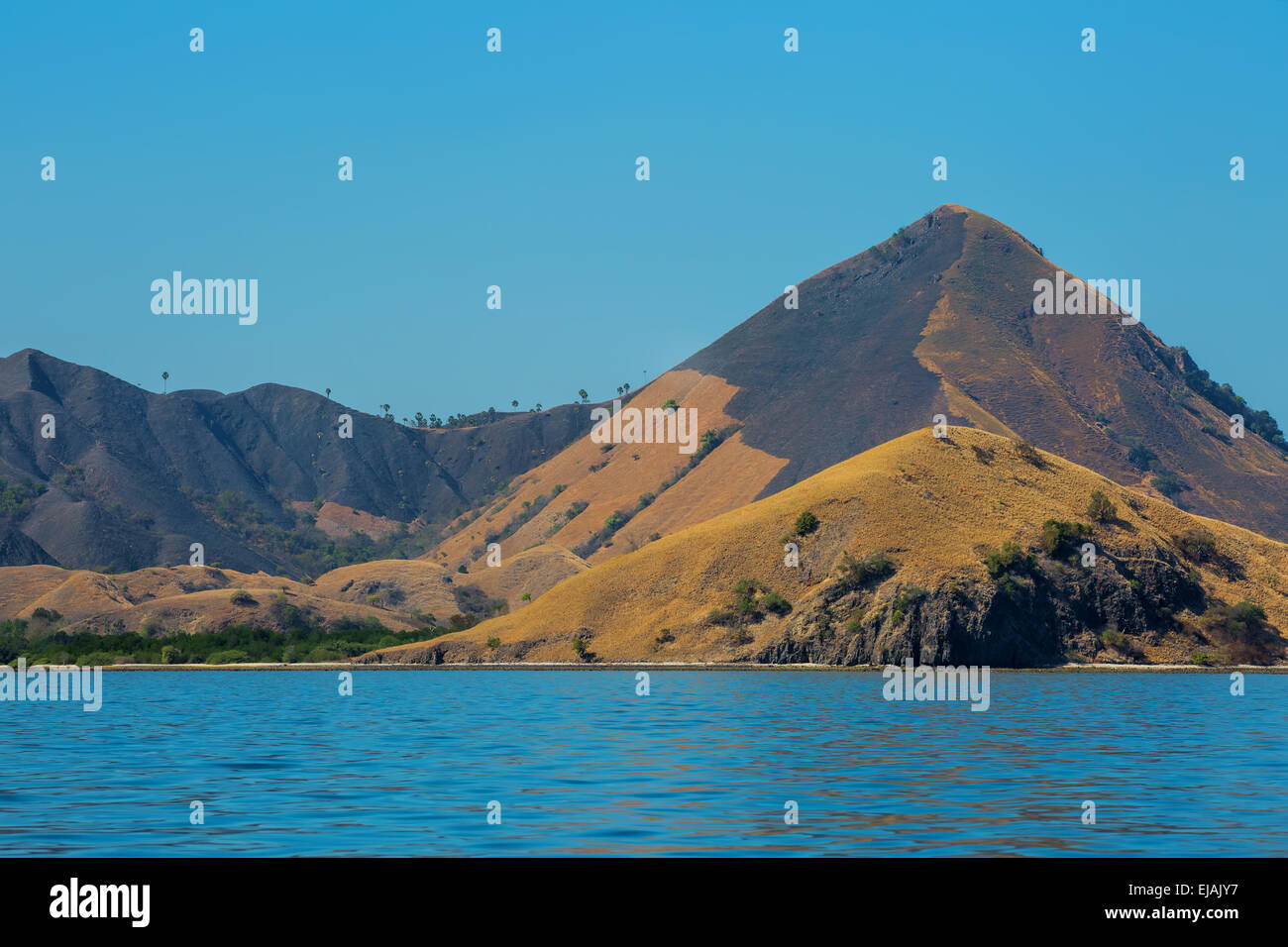 Isola di Komodo Foto Stock