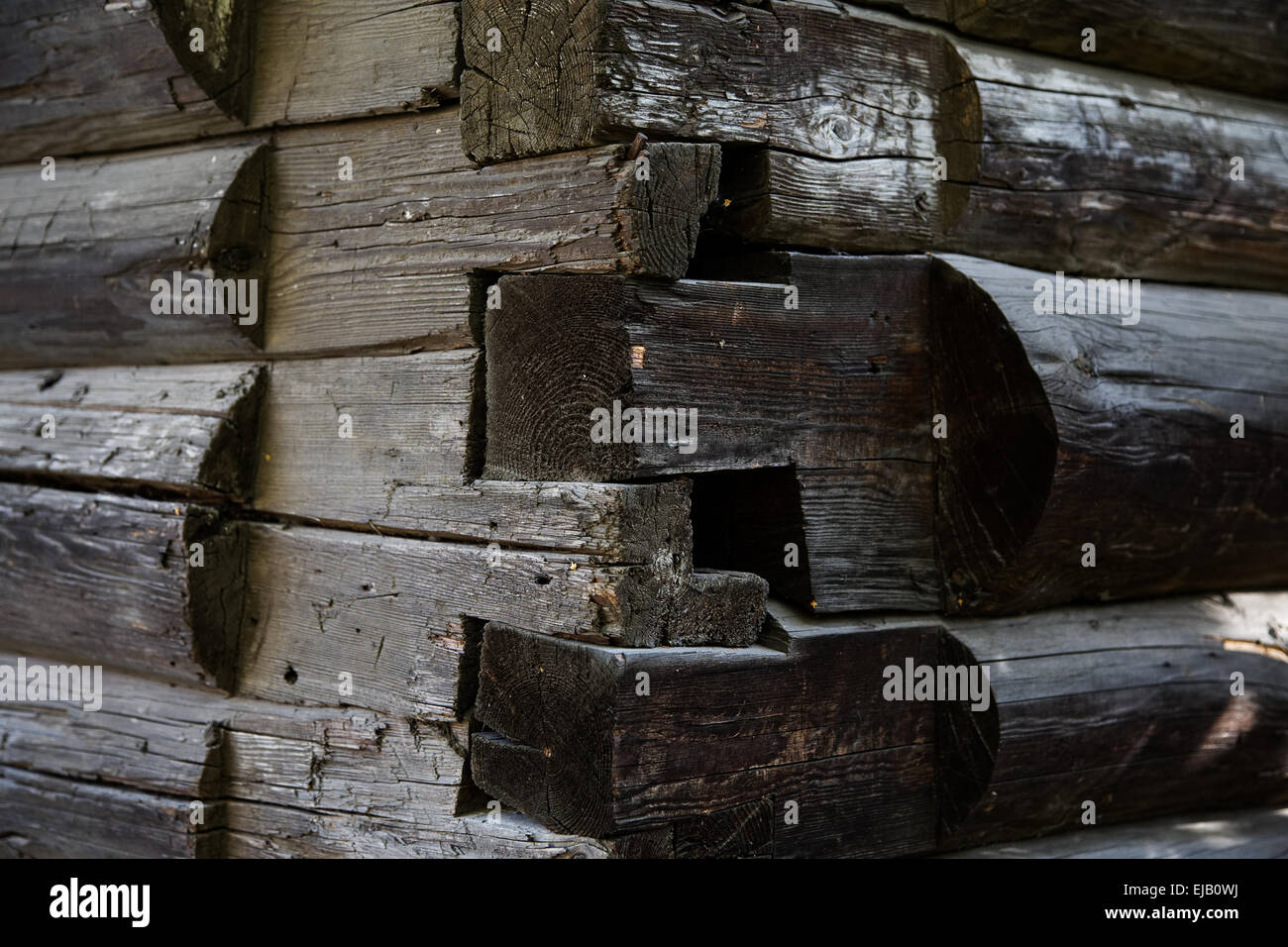 Il taglio di tronchi di legno di colore nero Foto Stock