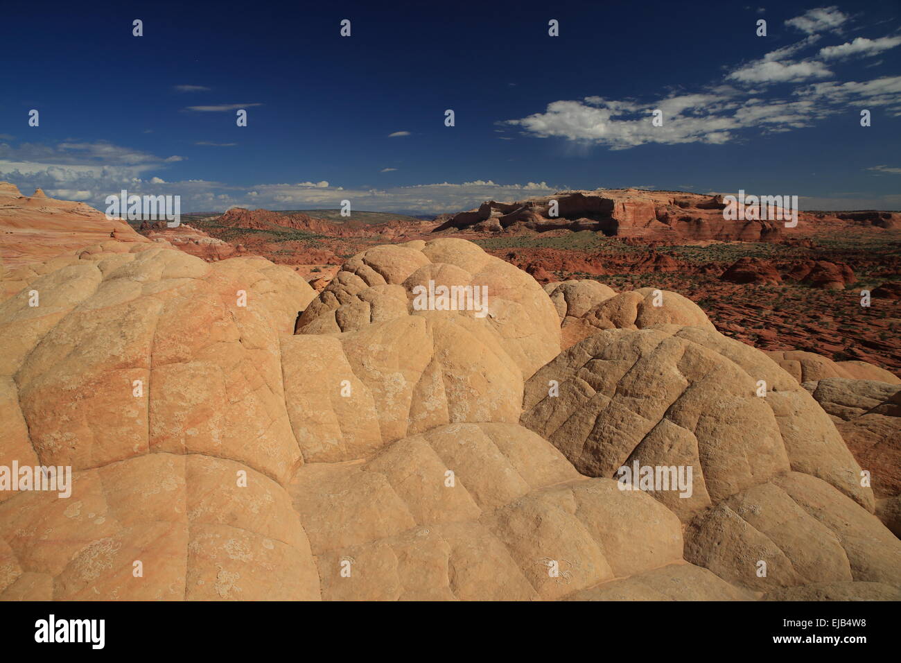 Coyote Buttes North Wave Foto Stock