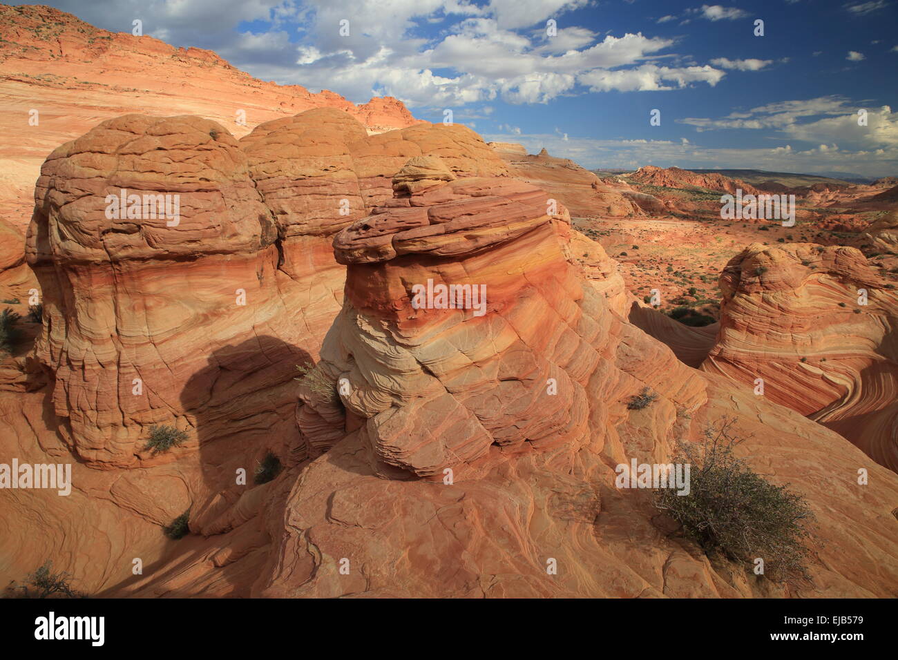 Coyote Buttes North Wave Foto Stock