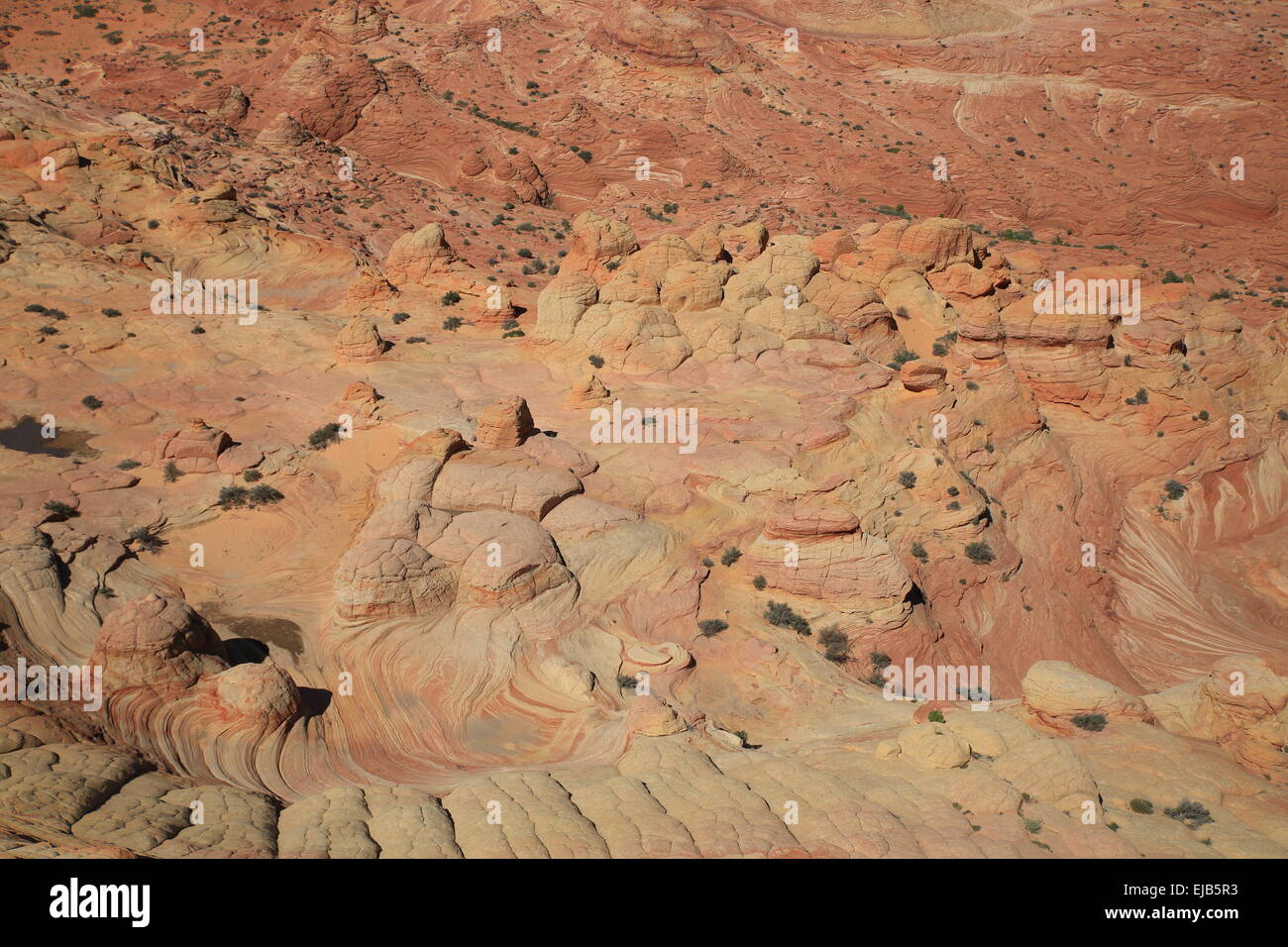 Coyote Buttes North Wave Foto Stock