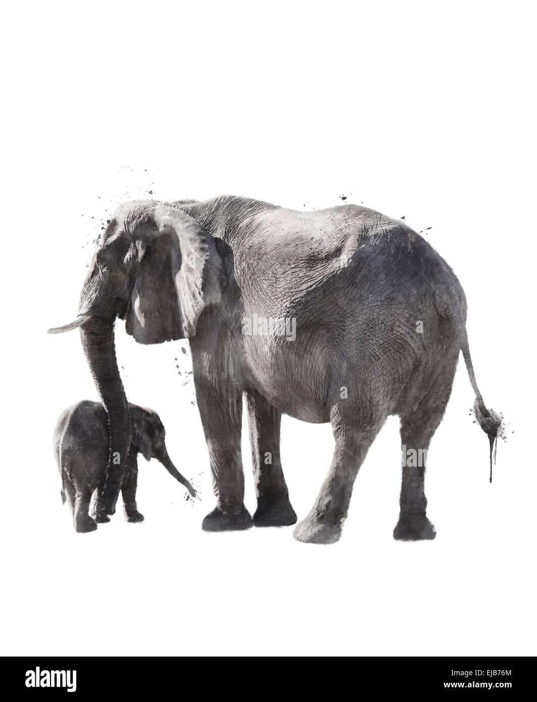 Immagine ad acquerello di elefanti Foto Stock