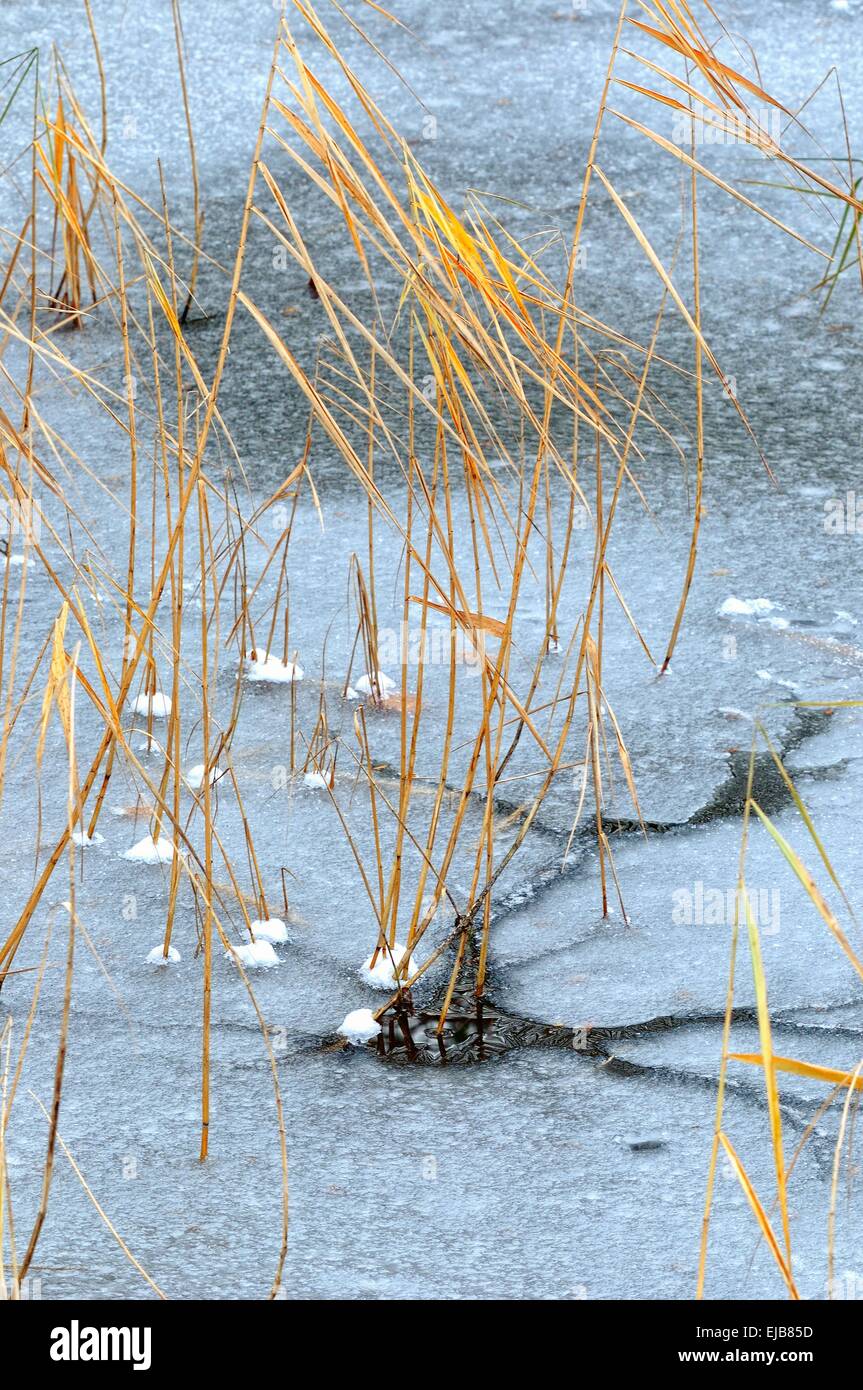 acqua congelata su Foto Stock