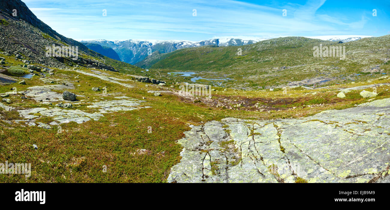 Estate in montagna (Norvegia) panorama. Foto Stock