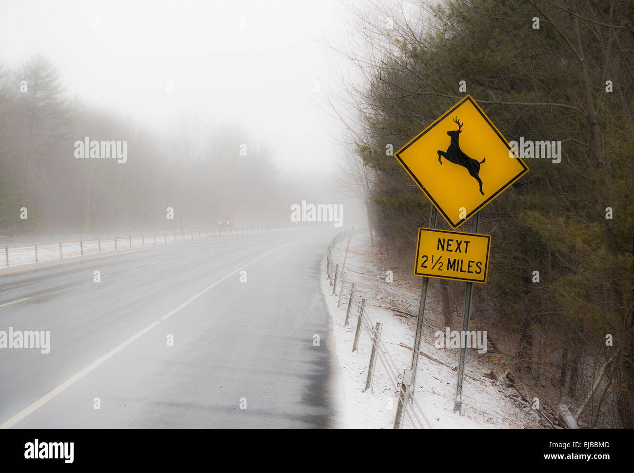 Il cervo segno di attraversamento su strada in inverno Foto Stock