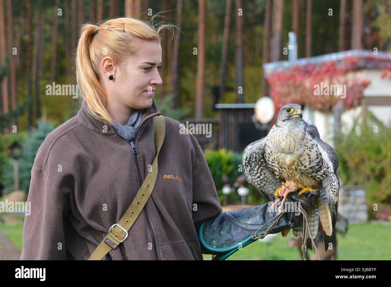 Bella ragazza con Falcon Foto Stock