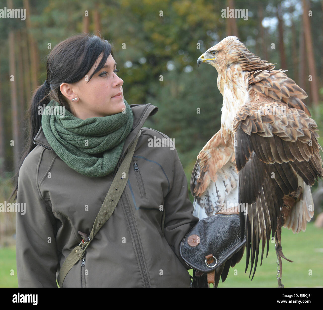 Presentazione di una poiana eagle in Germania Foto Stock