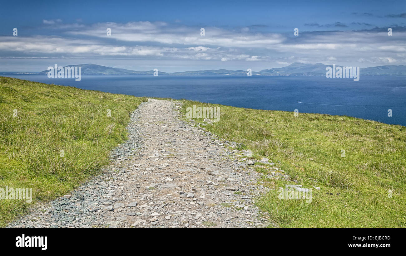 paesaggio irlandese Foto Stock