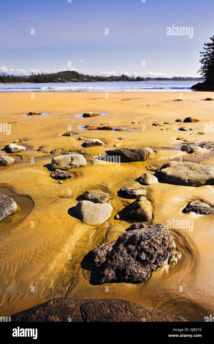 Ocean costa del Canada occidentale Foto Stock