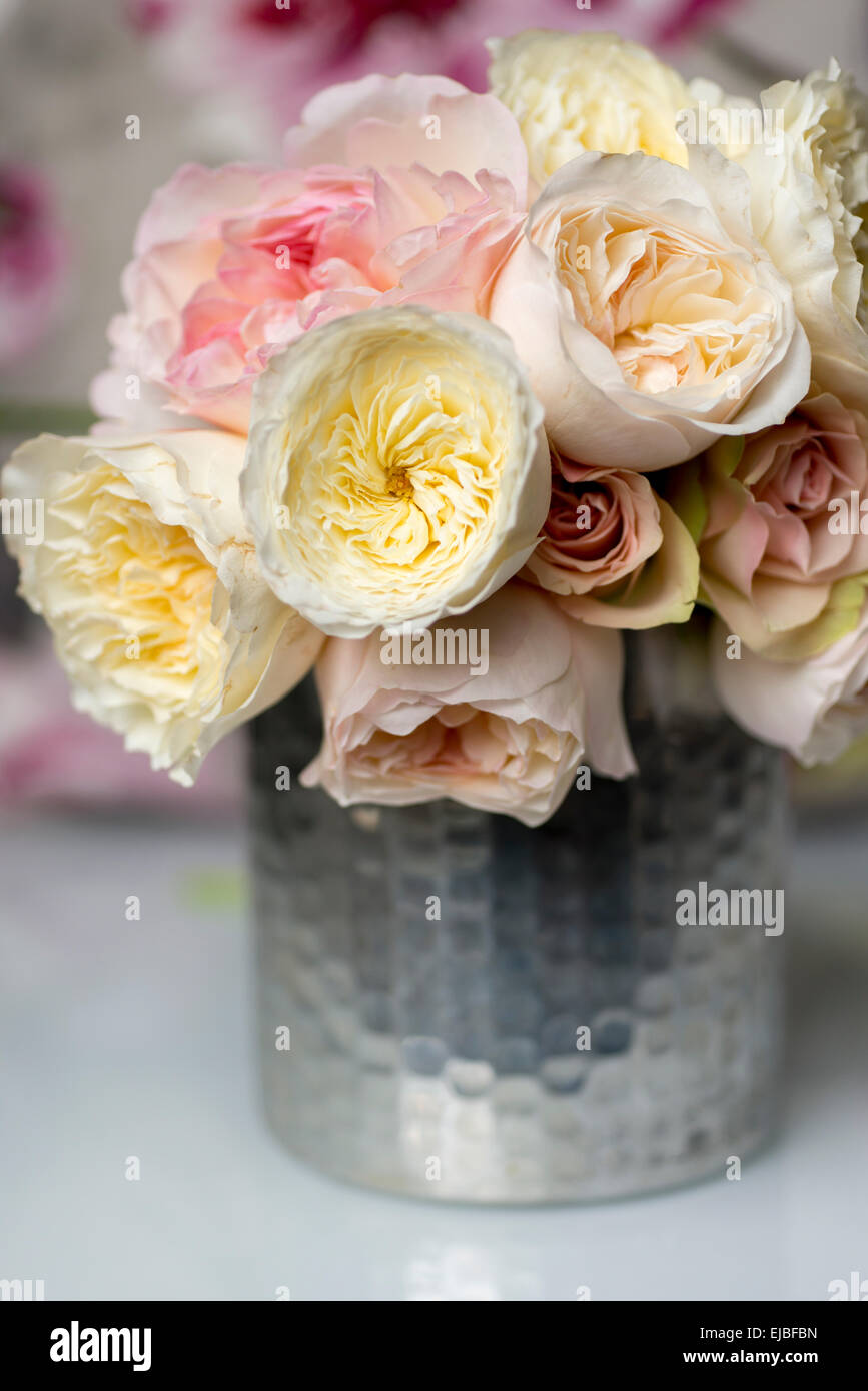 Bouquet david austin english rose immagini e fotografie stock ad alta  risoluzione - Alamy