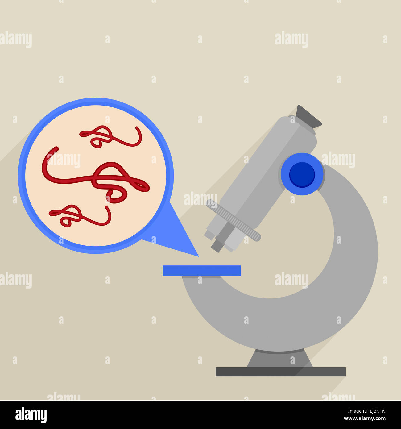 Il virus ebola al microscopio Foto Stock
