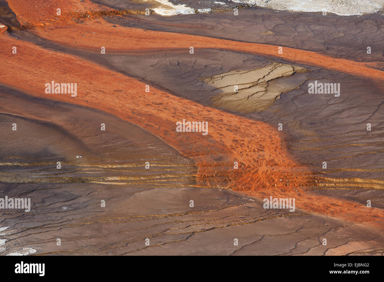 Grand Prismatic Spring im Yellowstone National Par Foto Stock
