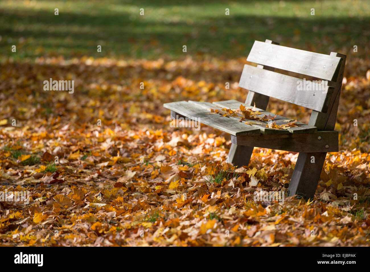 Una panca in autunno Foto Stock