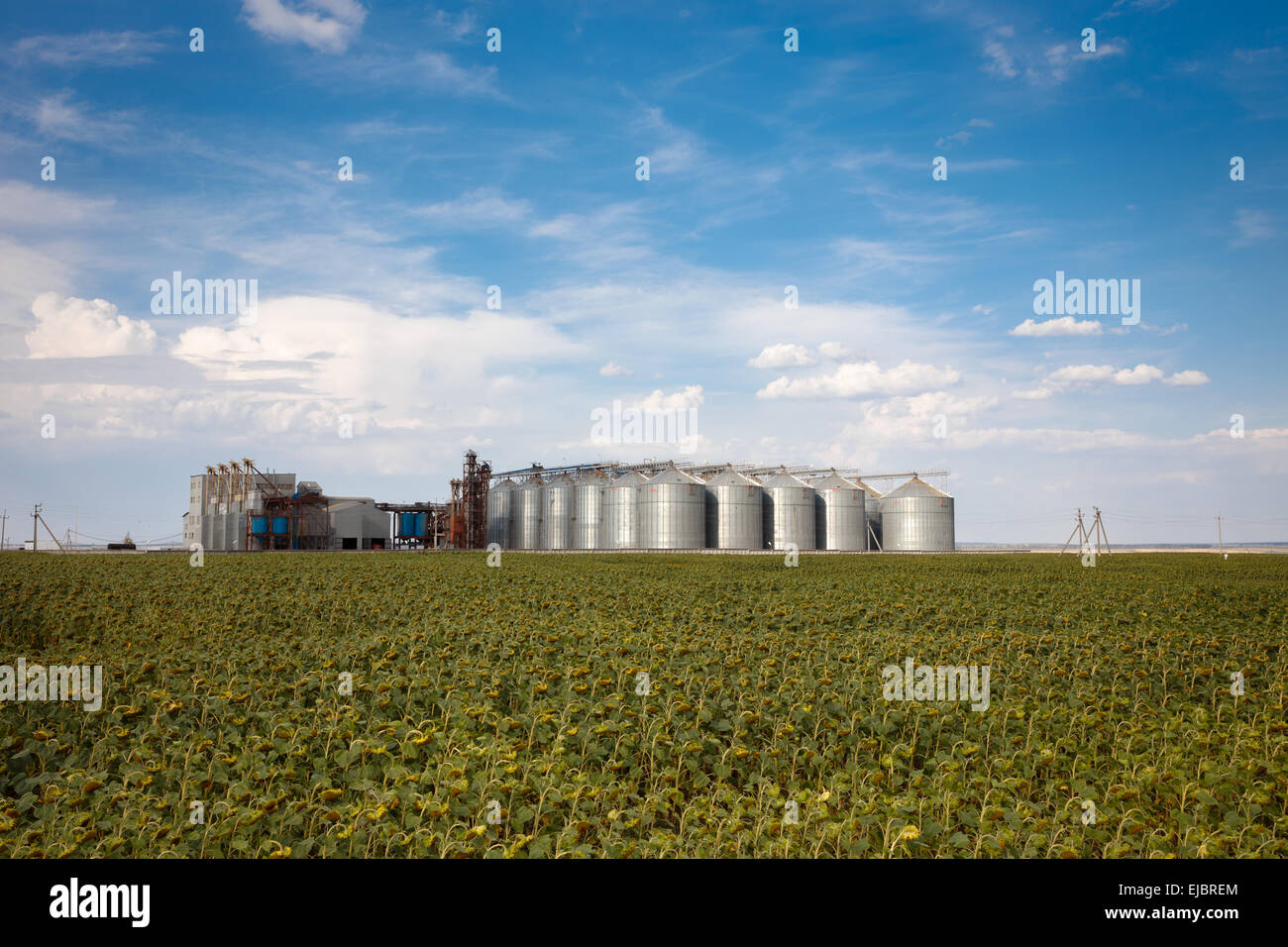 La fabbrica di oli vegetali Foto Stock