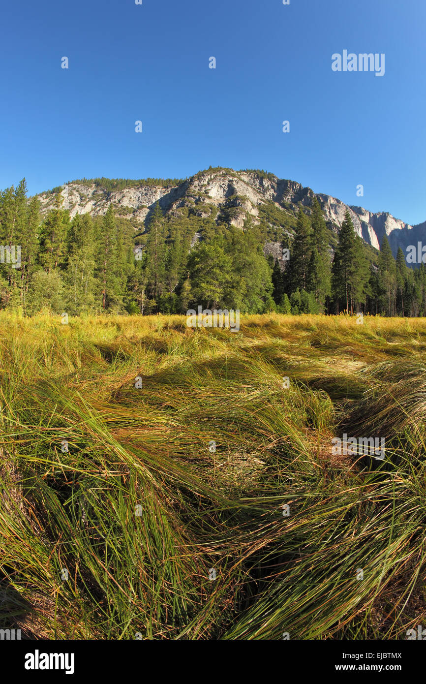 Pittoresco sito nel Parco Nazionale di Yosemite Foto Stock