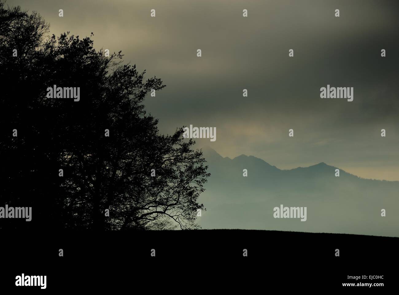 Atmosfera di Foehn nei pressi di Bad Reichenhall Foto Stock