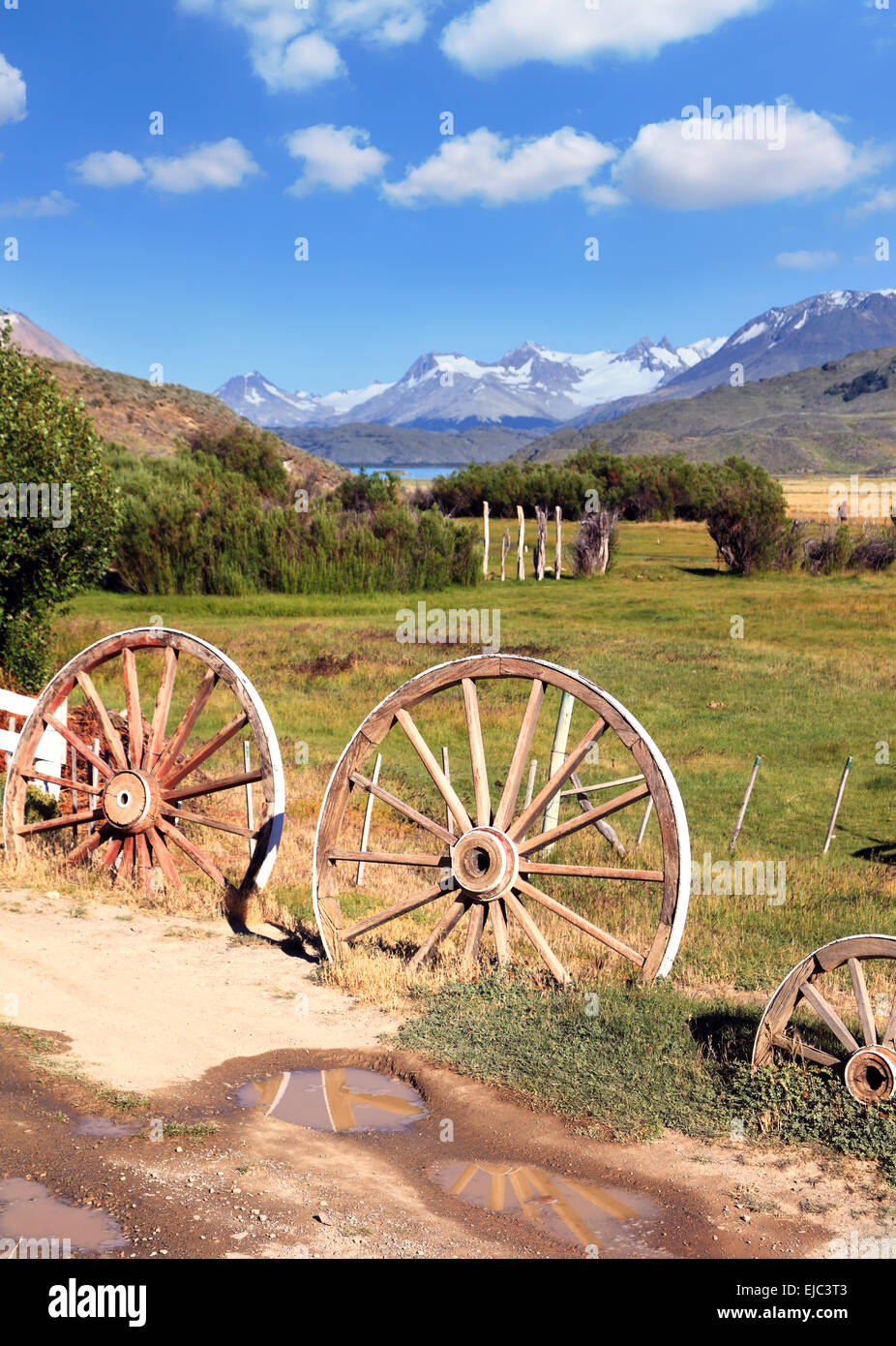 La strada di accesso all'estancia Foto Stock