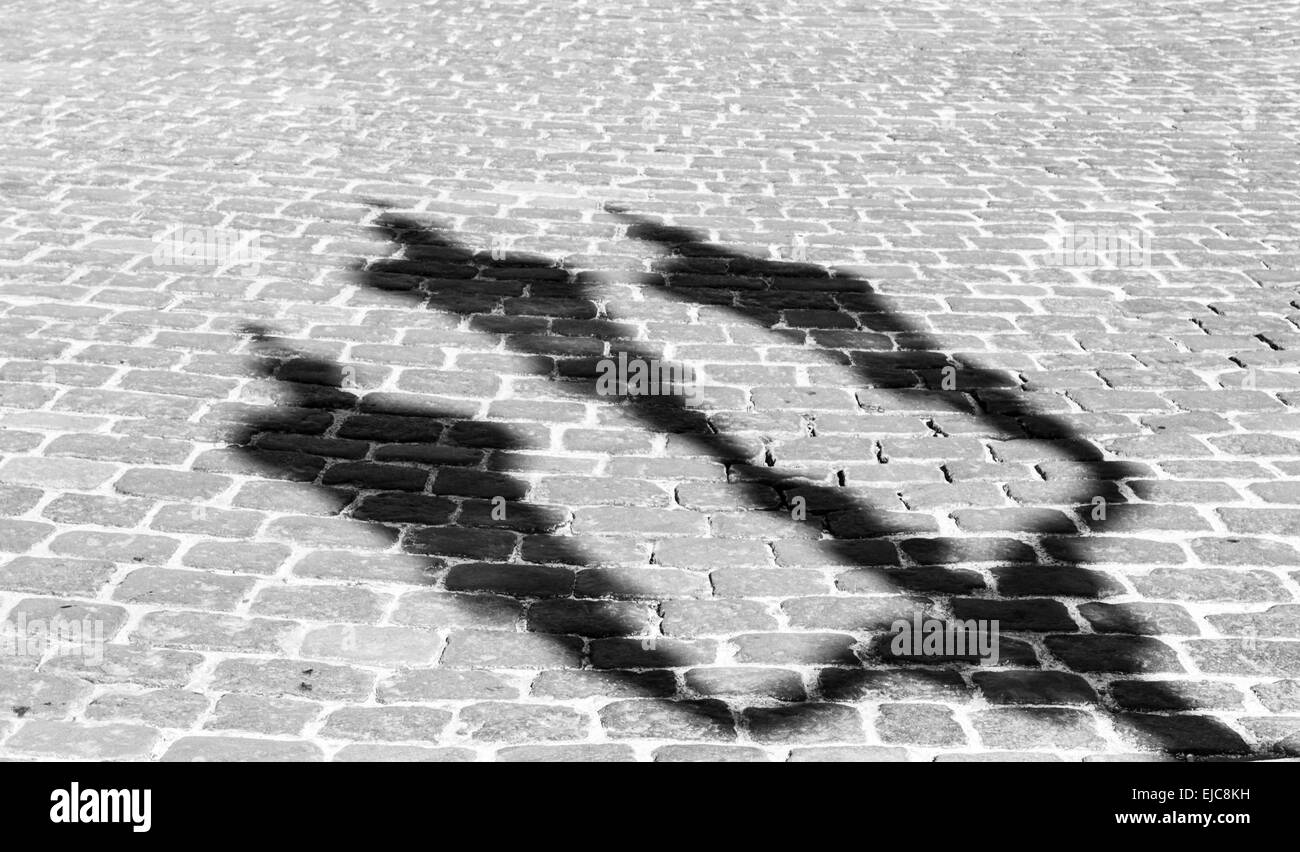 Ombra di un lampione cadere sull'acciottolato Foto Stock