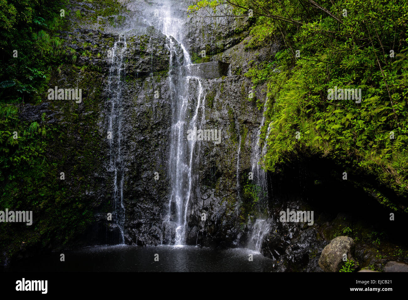 Cascata in Hawaii Foto Stock