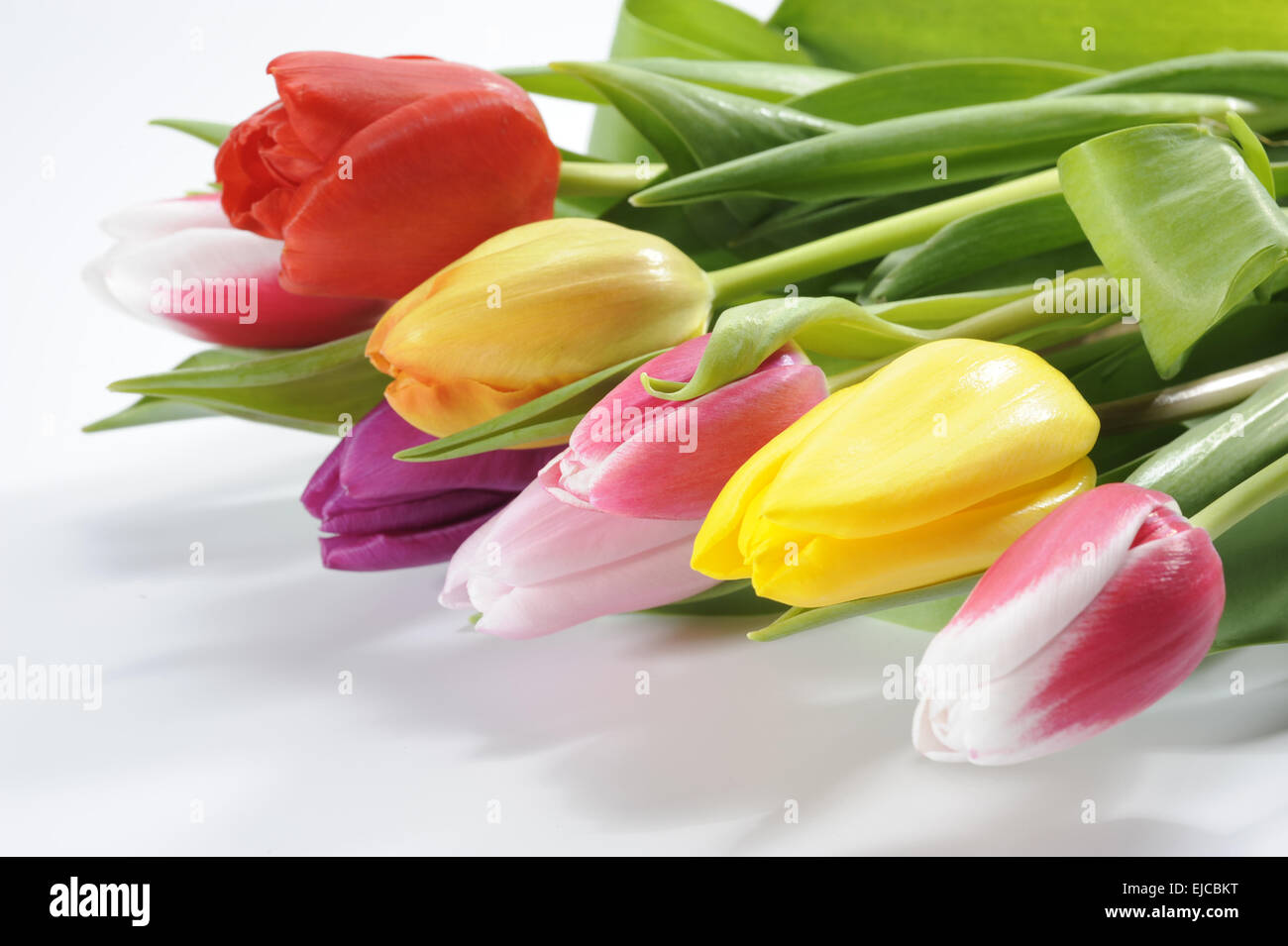 Colorato mazzo di fiori di tulipani Foto Stock