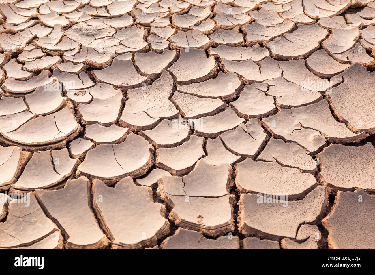La terra arida e incrinato Foto Stock