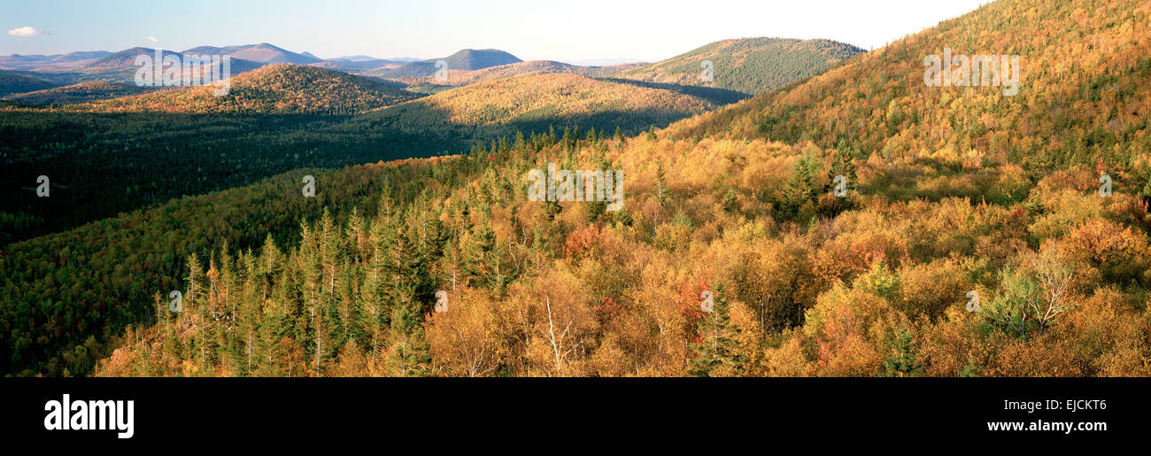 Montare Carleton Provincial Park, New Brunswick. Foto Stock
