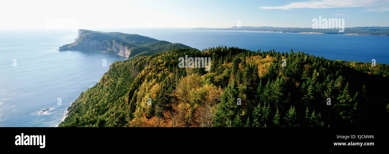 Cap-Bon-Ami, Forillon National Park, Gaspe Peninsula, Quebec. Foto Stock