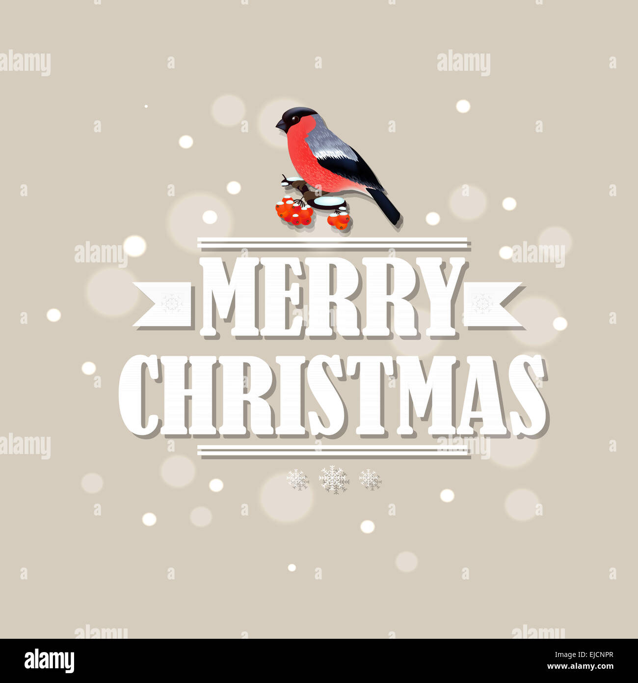 Vintage Scheda di Natale con Bullfinch Foto Stock