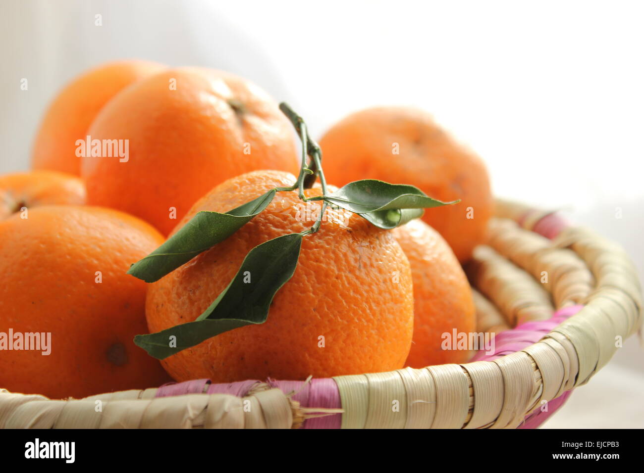 Mandarini arance in un cestello Foto Stock